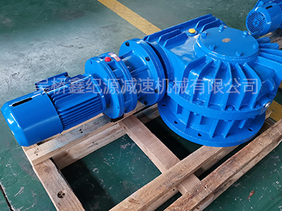 CWS250減速機(jī)-非標(biāo)定制